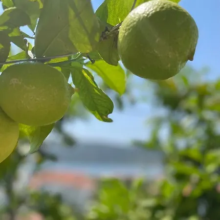 Mornar * Poljica (Trogir)